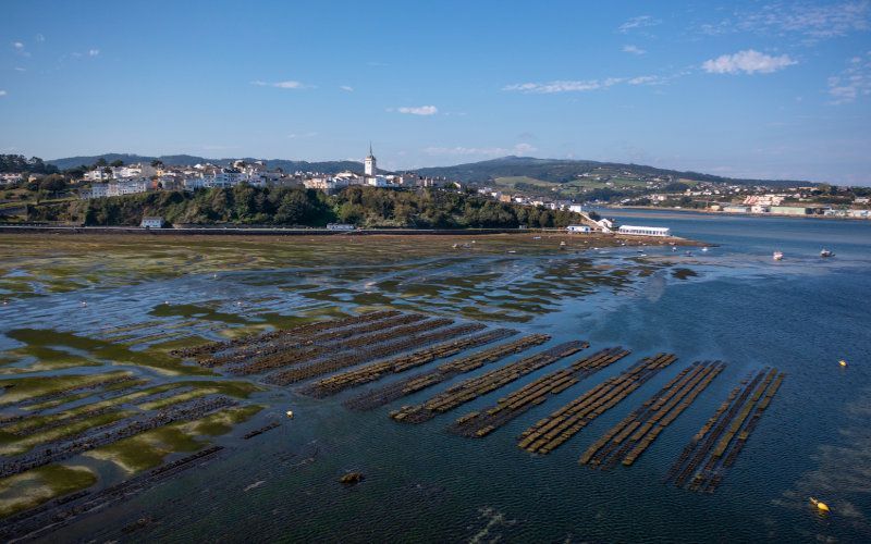 El Principado licita la ampliación de la depuradora de la ría del Eo, en Castropol  buff.ly/ibx7Zzn