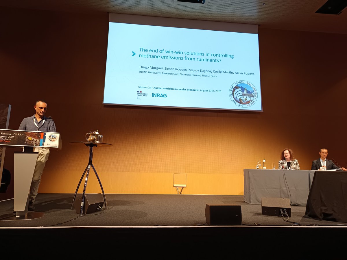 The Rumen Today tweet media