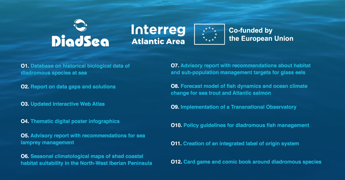#DiadSea will generate a set of 12 outputs of great value to different #diadromousfish stakeholders, including the scientific community, monitoring and managing authorities, local fisheries, commercial and recreational fishers, and the general public. 🔗diadsea.uevora.pt