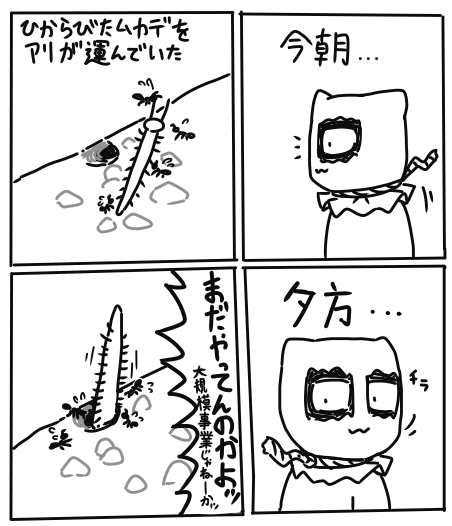 🐜日記 