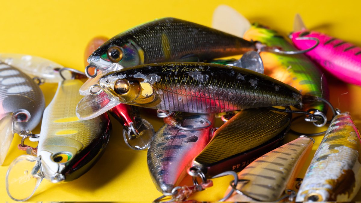 さけこあら 黒神 樹 (@itsuki08059696) / Posts / X