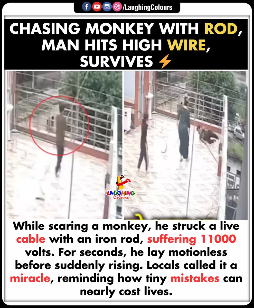 LaughingColours's tweet image. Miracle Escape ⚡

#ShockingIncident #MonkeyChase #ElectricShock #MiracleSurvival #LifeLessons #StaySafe