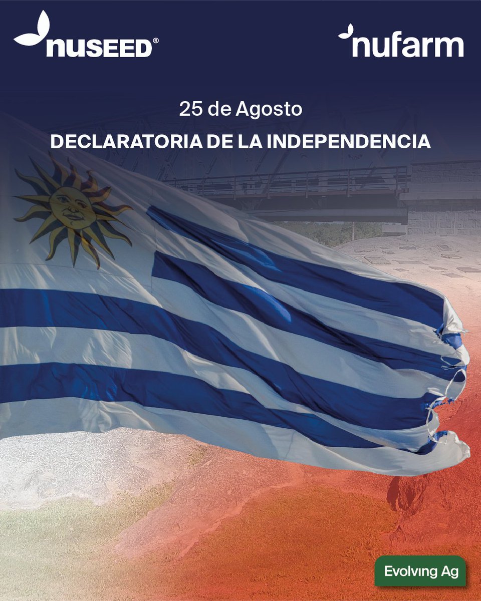 25 de Agosto - Declaratoria de la independencia
