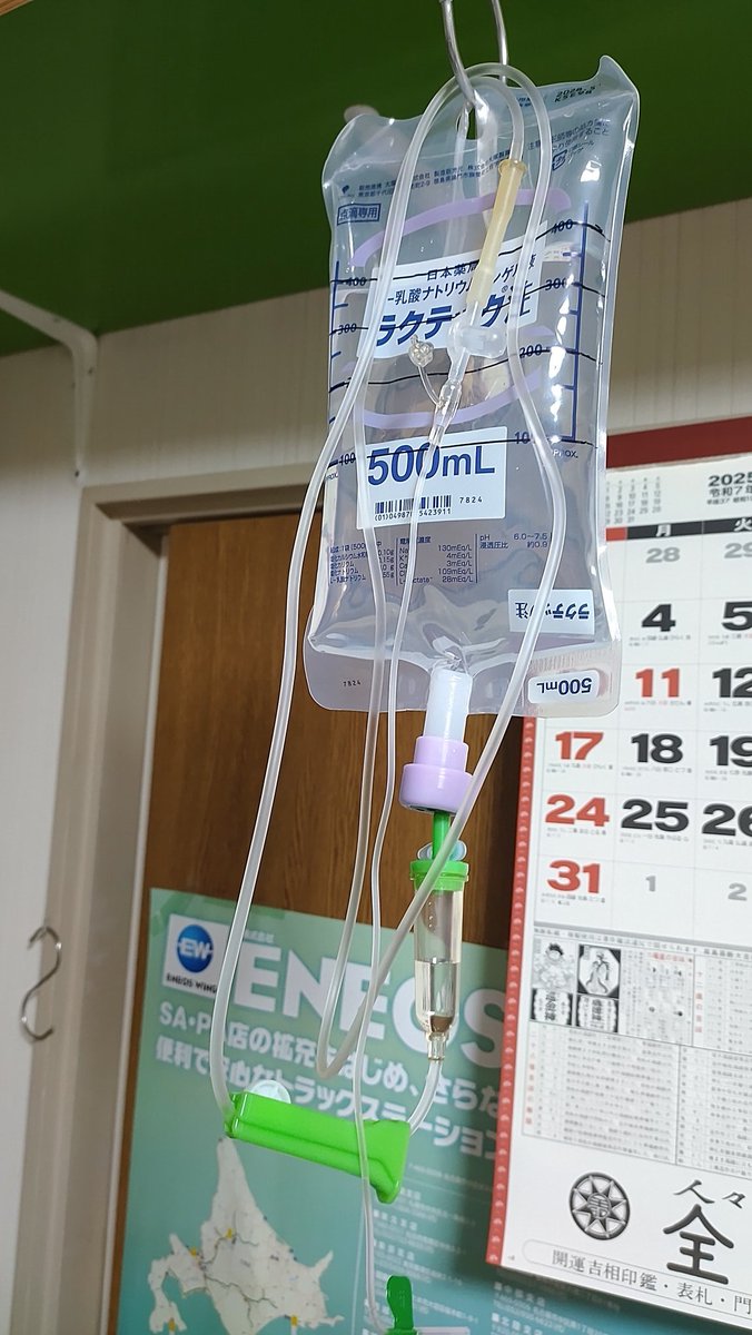 今日から2日に一回の点滴を自宅でするようになったくうた
点滴している間は動いてしまうからかごにいれないとダメだけど…
くうたが少しでも楽になれるなら…
飲み薬では肝臓の数値よくならなくて😣
一緒に頑張ろ😊