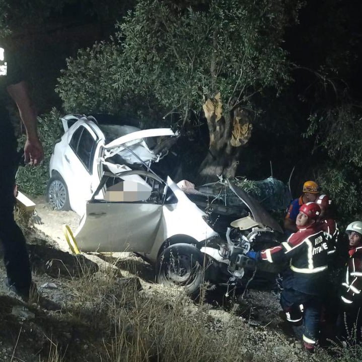 Aydın'da başka bir kazada ölen köpeğe çarpmamak için manevra yapan otomobilin şarampole devrilmesi sonucu 2 kişi hayatını kaybetti.