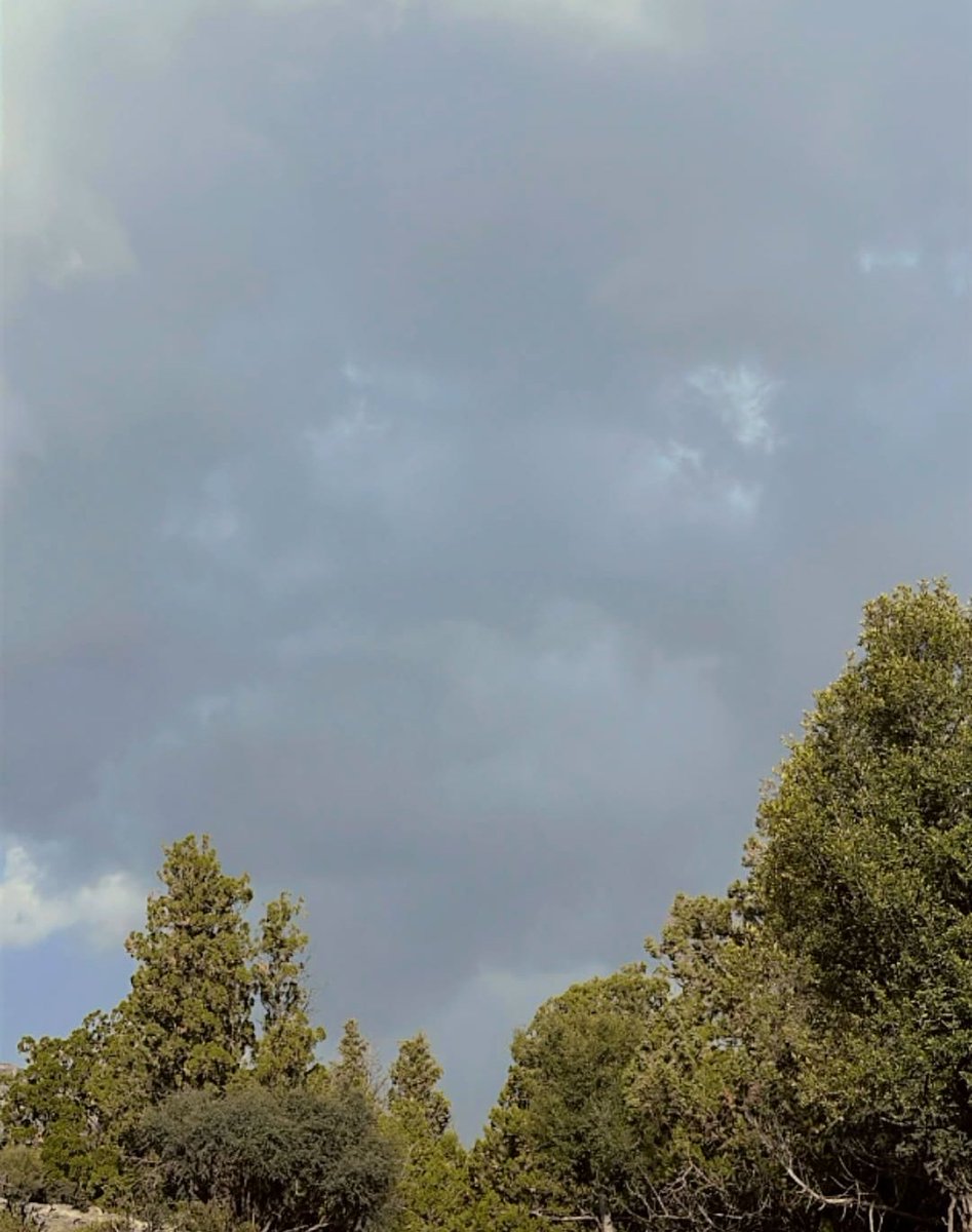 يا مساء الخير والجو الجميل
ويا مساء الغيم في جوف السماء

يا كم هذا الجو مشفي للعليل
يا عسـى يدوم كل صبح ومساء

مسااء الورد والياسمين 🌷🌸