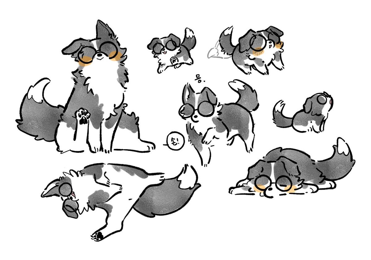 강아지 연습용 보리꼬리 원뭉