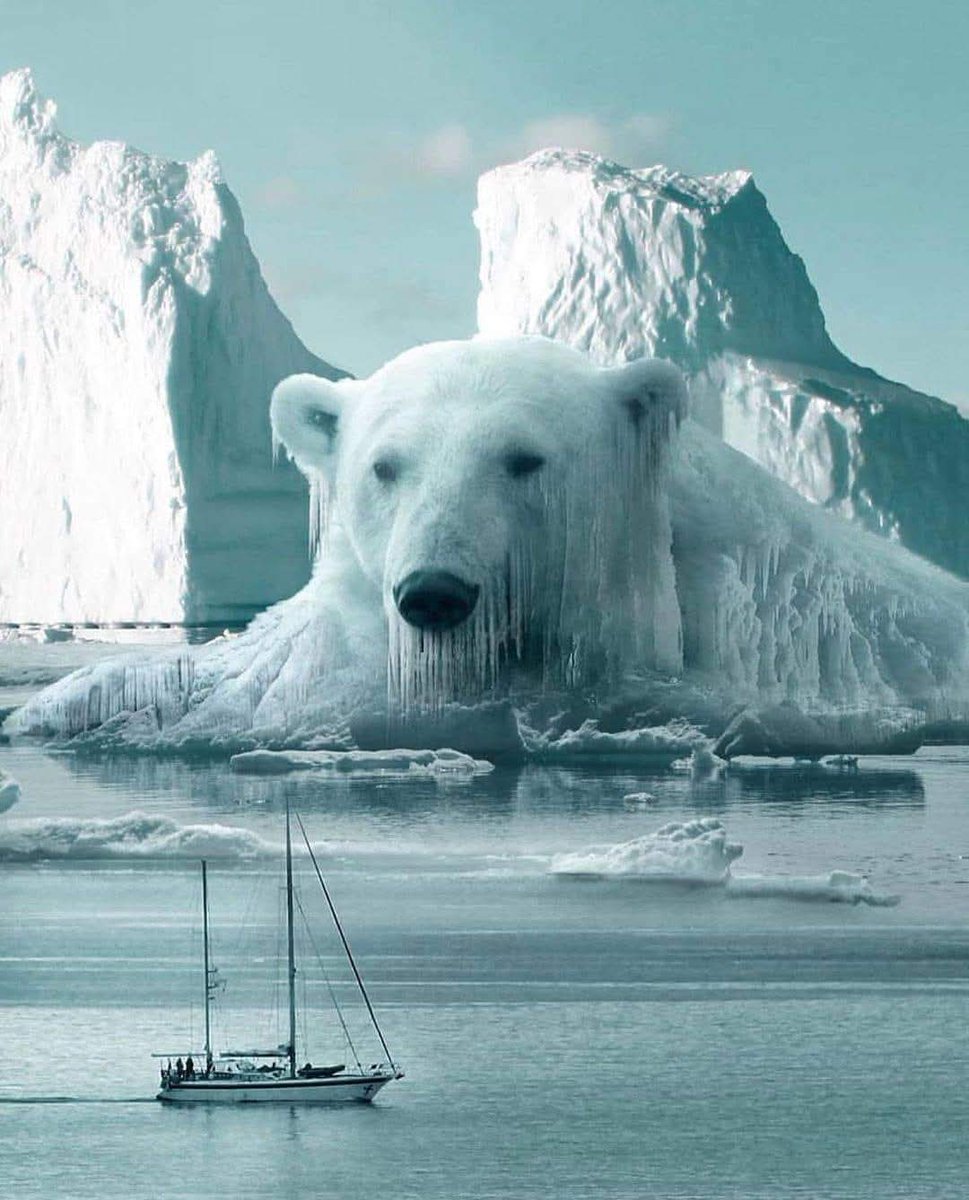 AdeaClaude's tweet image. Les glaciers fondent et disparaissent, les ours polaire aussi 😡😭