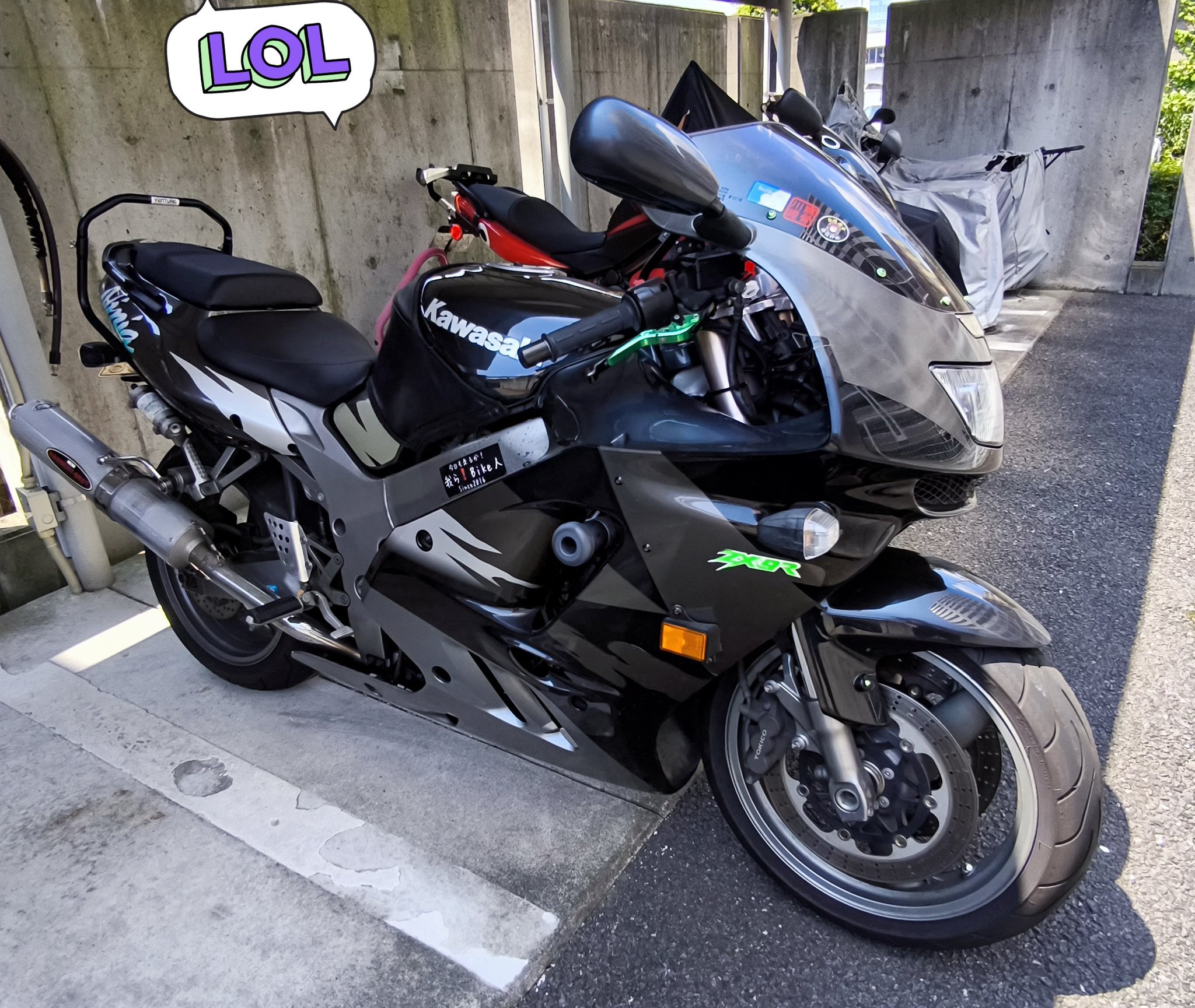 くましー♡ページです♥️ とにかくzxを貼ろう - Search / X