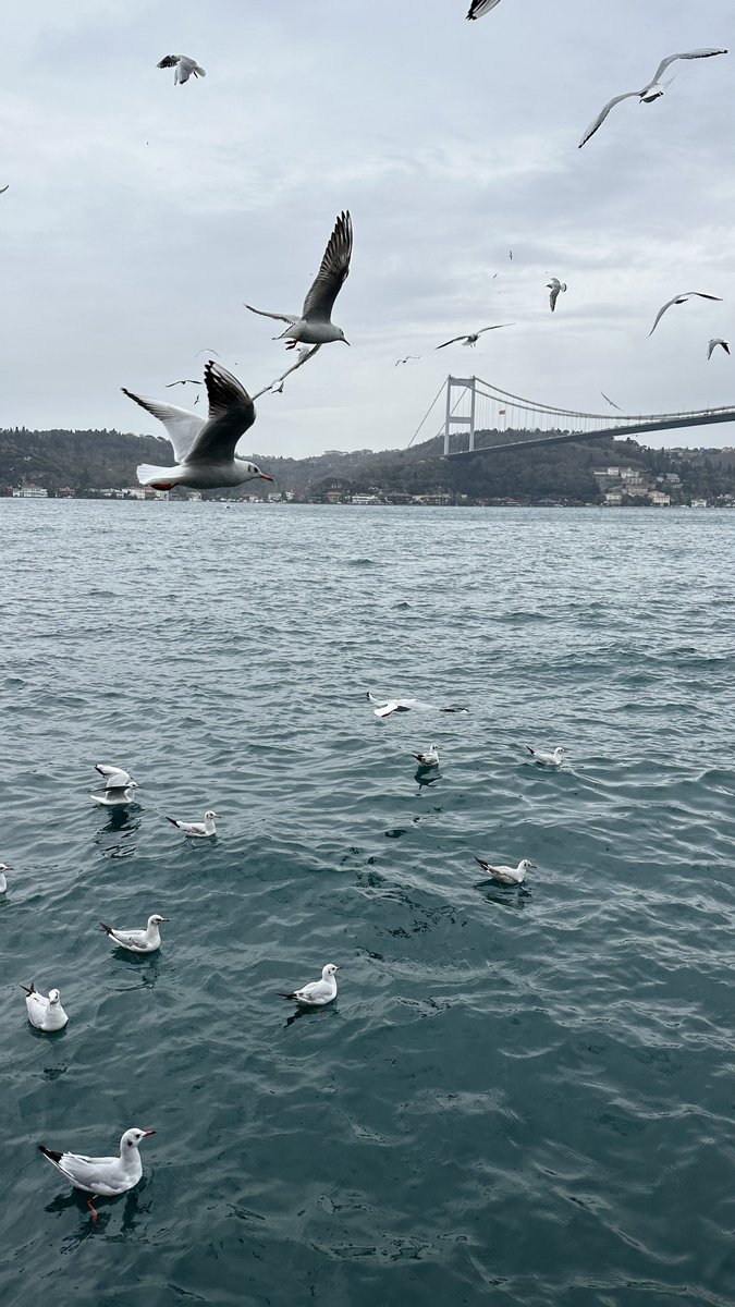 خيرت نفسي مابين الناس واختارك
لا قلت يا قلبي ابعد قال حبيته.!!