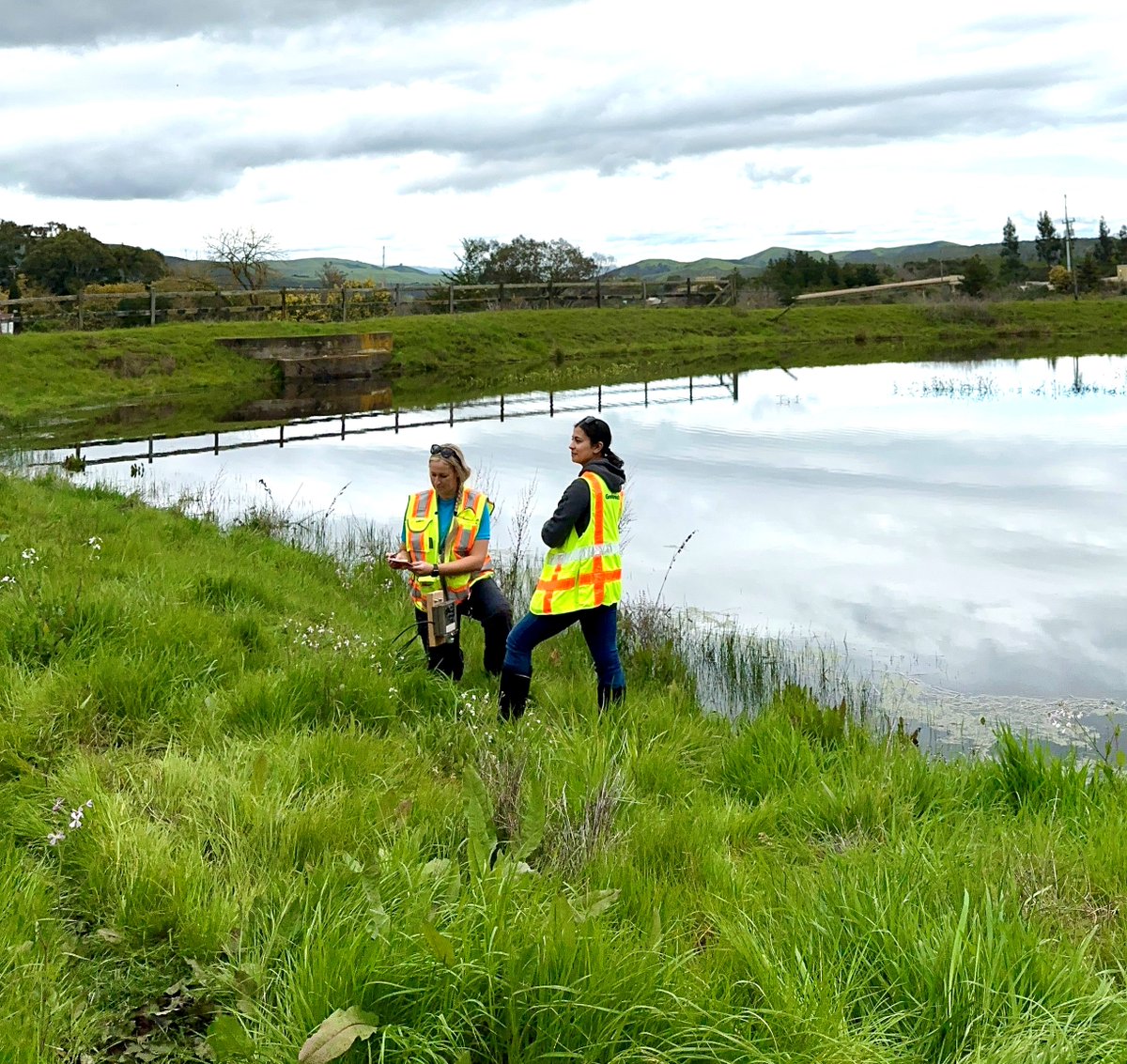 🌿 Did you know Graniterock has its own native plant nursery? 🌿 

It’s part of our commitment to restoring the land we work on. 

The Graniterock environmental team leads the way in reclamation and revegetation!