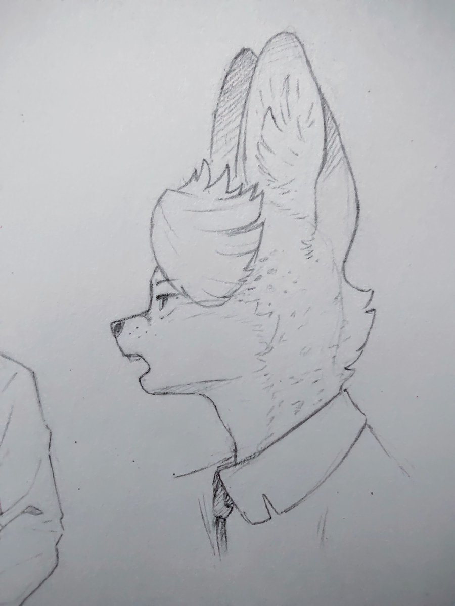 Serv Sketch

#draw #sketch #furry #oc #original