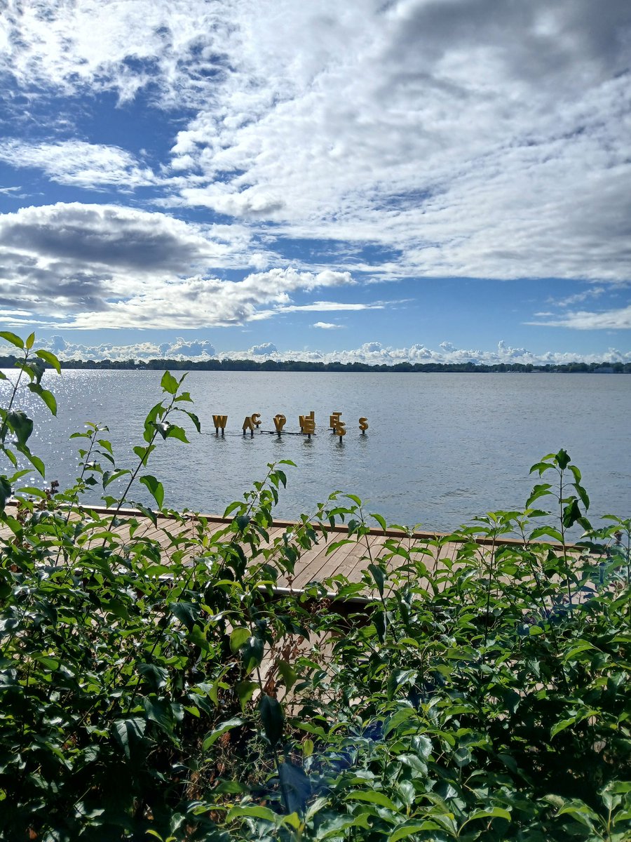 I saw this in the water on my walk. It comes in waves. 🙏❤️