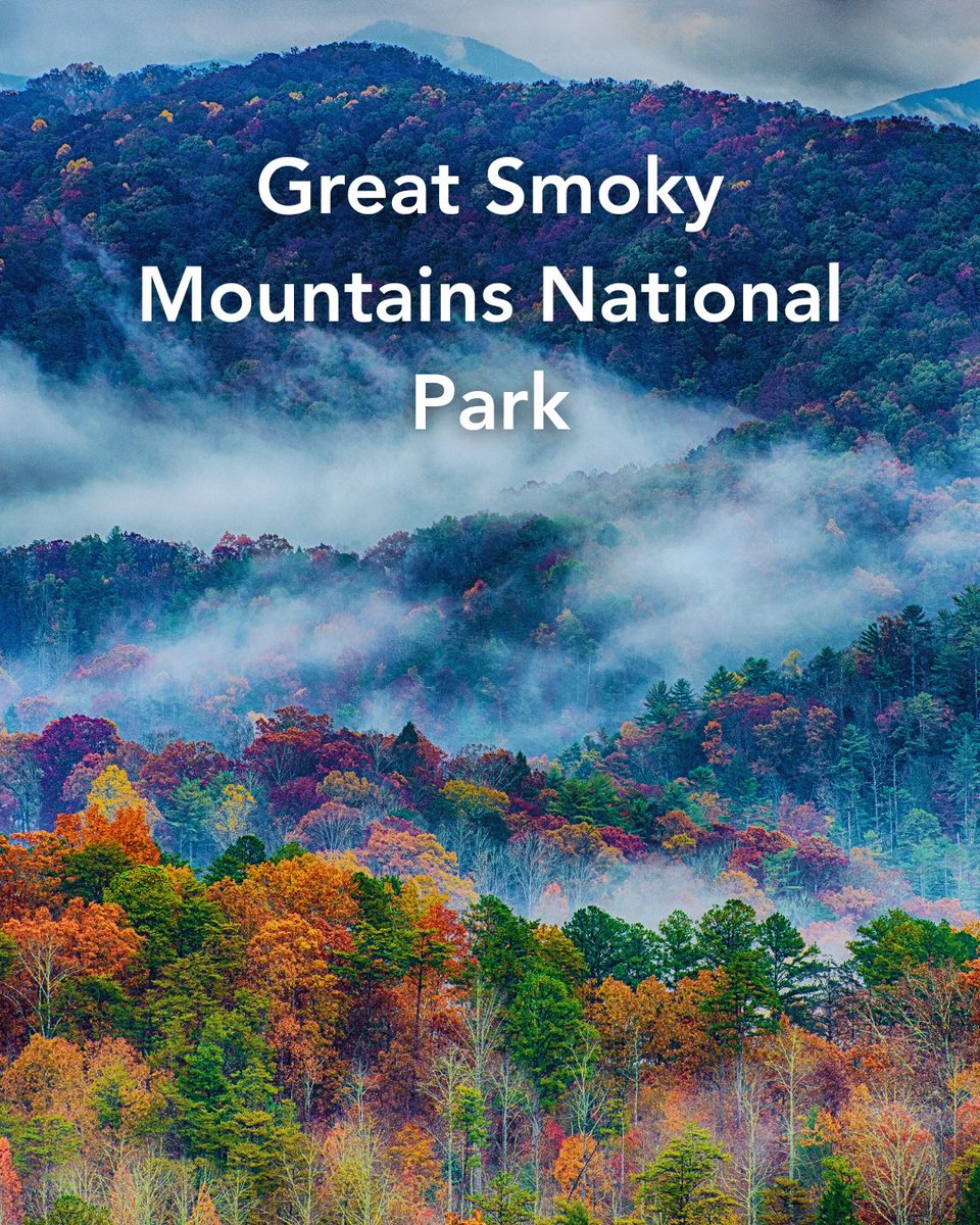 On this day in 1916, the National Park Service was founded. Today, it manages over 400 sites and 85 million acres. Happy Founders Day to the National Park Service!
