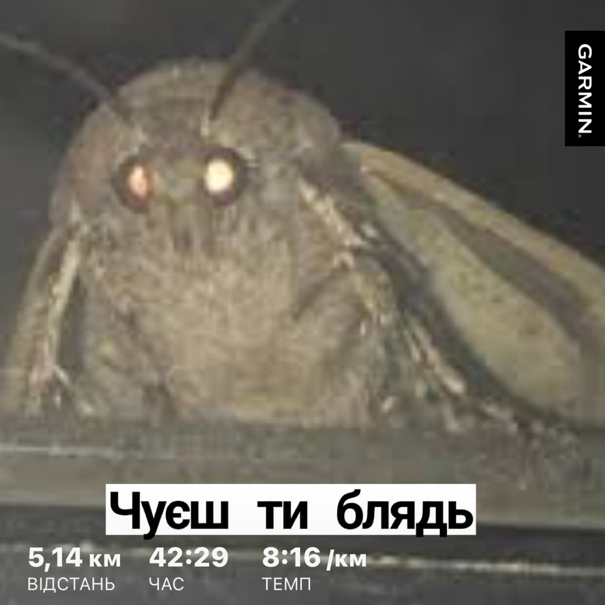 c_chorti's tweet image. хочу ригать

але радісно що показники ростуть потроху