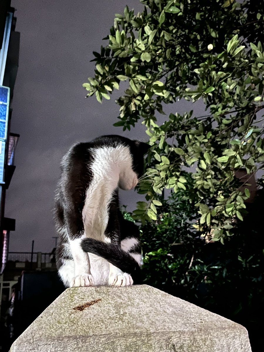 doolsetstudy's tweet image. lifes a mess cuz just got my duty roster for the next month🫠

#lifetwt #medtwt