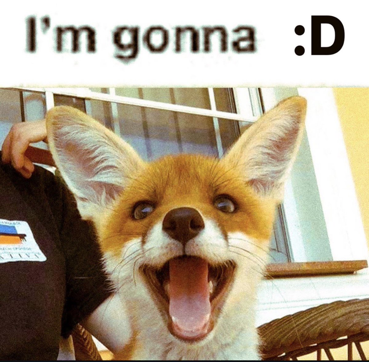 furryee's tweet image. I’m gonna :D too