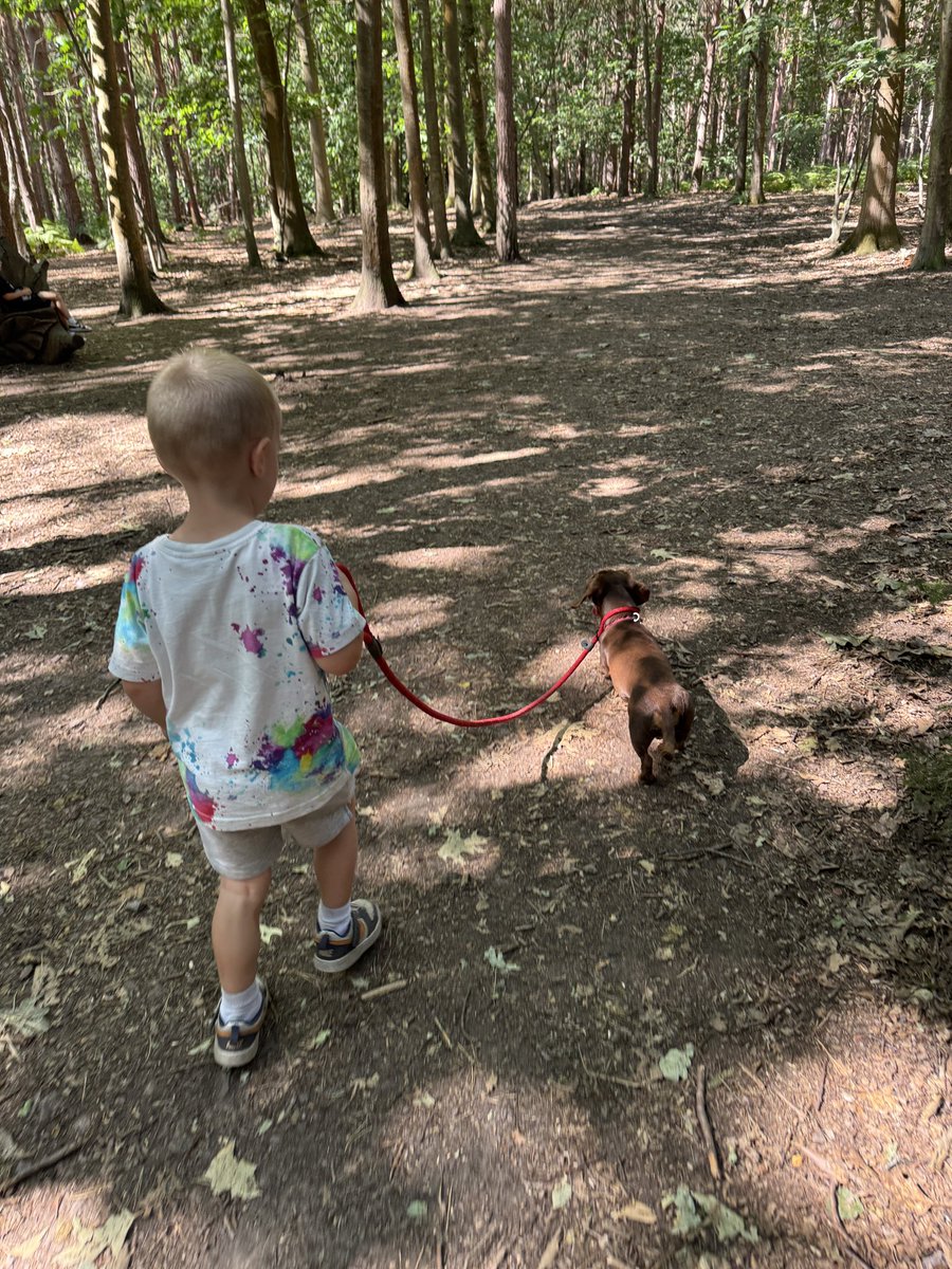 Meanwhile the youngest absolutely loved walking my friend’s dog! #day26 #summerholidays #bankholiday