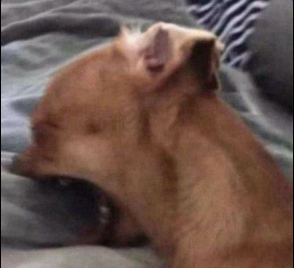 IF U HOLD ME WITHOUT HURTING ME YOU’LL BE THE FIRST WHO EVER DID!!