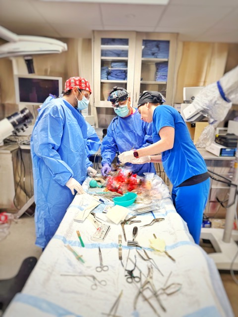 Pineal region cadaver lab taught by our own pediatric neurosurgeon Dr. Quinsey! Thank you to Stryker and Zeiss who made this lab possible! <a href="/QuinseyCarolyn/">Carolyn Quinsey</a> #meded #neurosurgery