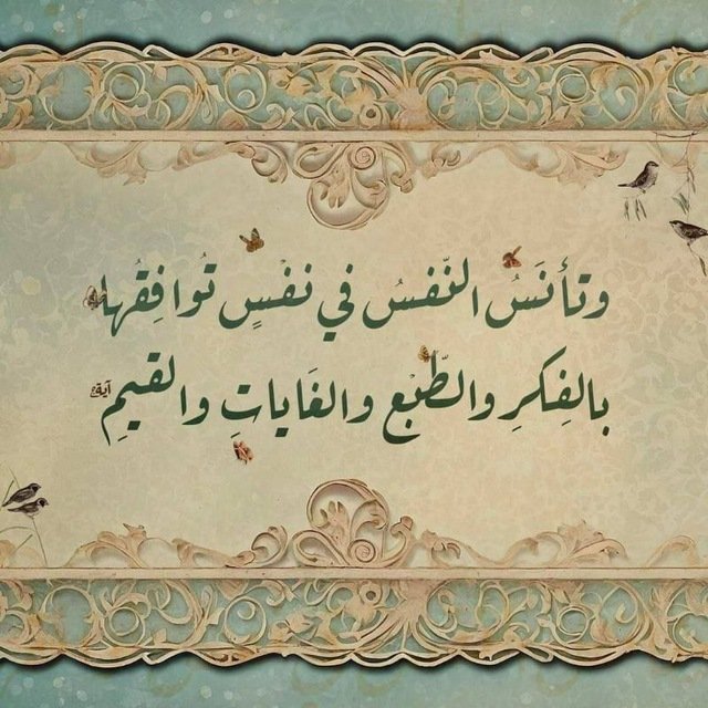 Ash (@ash_ahmed66) on Twitter photo 