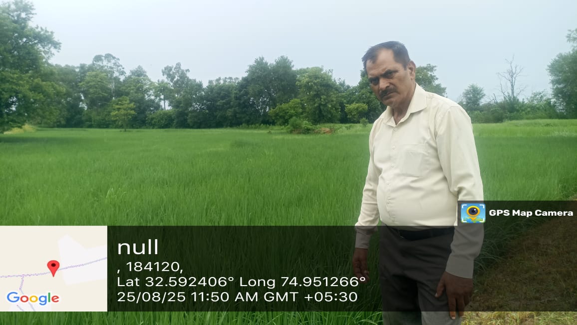KVK Samba@OFFICIAL (@sambakvk) on Twitter photo Today field visit for pyt dhamore and jakh to monitor Paddy Variety: Pusa-1121 <a href="/AgriGoI/">Agriculture INDIA</a> <a href="/atari1icar/">ICAR-ATARI, Ludhiana</a> <a href="/ChouhanShivraj/">Shivraj Singh Chouhan</a> <a href="/SKUASTJammu/">SKUAST- Jammu</a> Today field visit for pyt dhamore and jakh to monitor Paddy Variety: Pusa-1121 <a href="/AgriGoI/">Agriculture INDIA</a> <a href="/atari1icar/">ICAR-ATARI, Ludhiana</a> <a href="/ChouhanShivraj/">Shivraj Singh Chouhan</a> <a href="/SKUASTJammu/">SKUAST- Jammu</a>