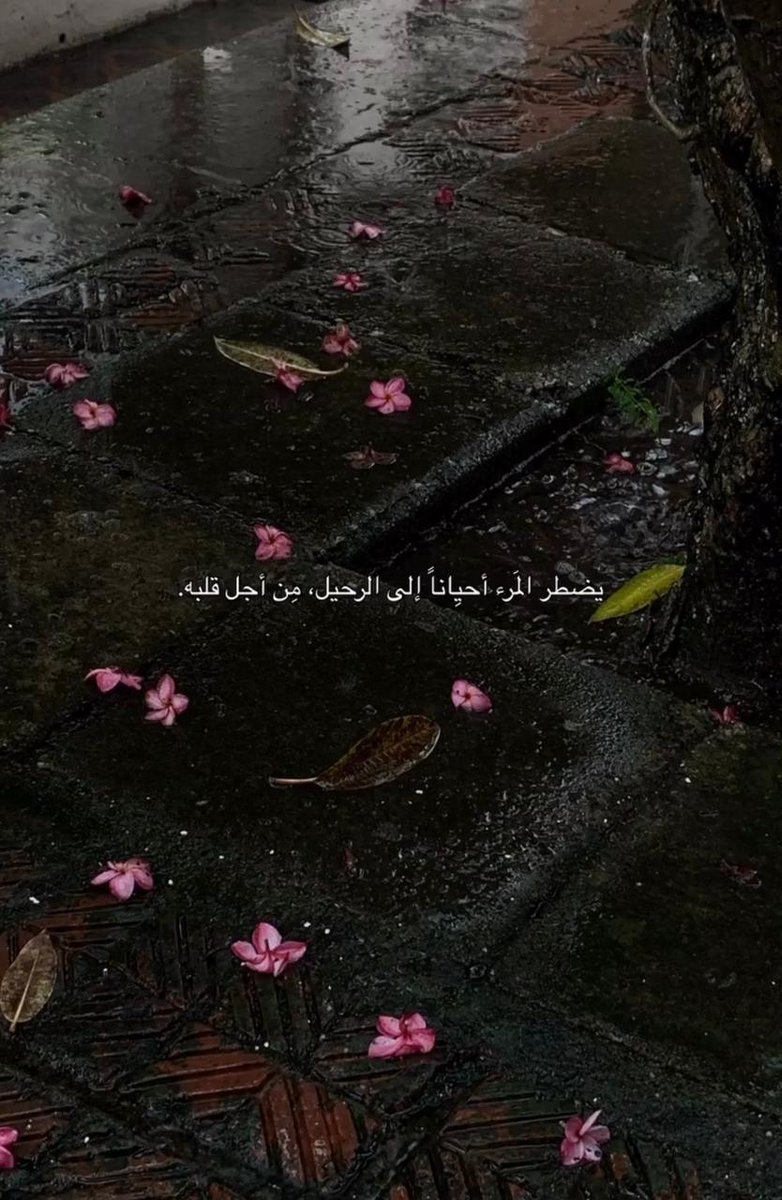 وحدة (@lonley_a9) on Twitter photo 