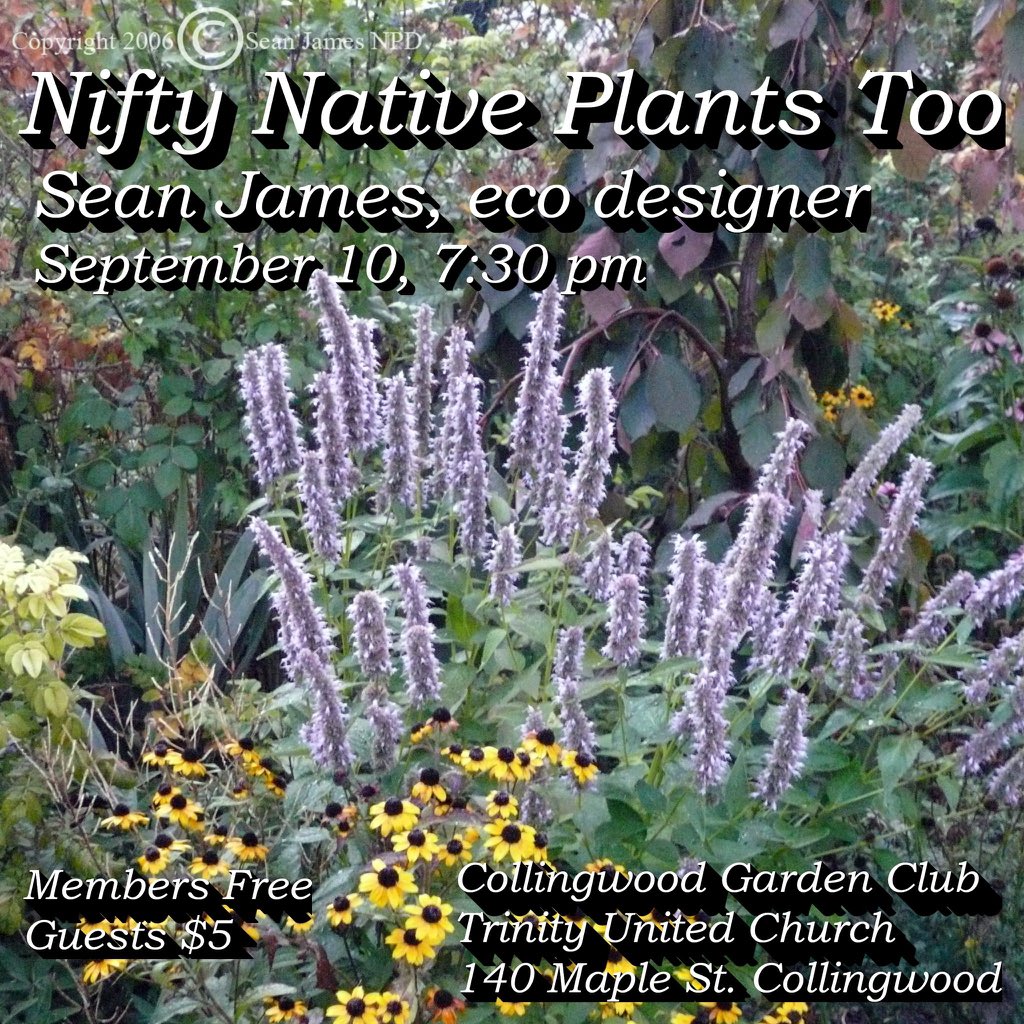 Sean James (@seanjamesdesign) on Twitter photo And this… #CollingwoodGardenClub - soon! And this… #CollingwoodGardenClub - soon!