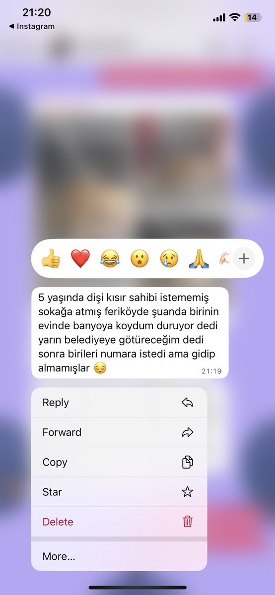 KURTULUŞ FERİKÖY❗️❗️❗️
5 yaşında dişi, kısır. Sahibi bırakmış. İstemiyormuş. Şu anda birinin banyosunda, o da yarın belediyeye vericekmiş. Çok acil geçici/kalıcı yuva😞 isteyene iletişim numarası verebilirim. Lütfen paylaşır mısınız?