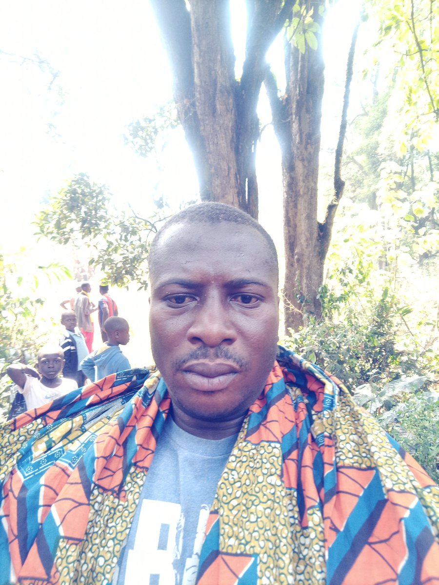 While replanting is crucial, it takes decades for a new forest to capture the same amount of carbon as a mature, old-growth ecosystem. Preventing deforestation in the first place is critical.