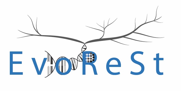 Jan_de_Vries's tweet image. We are hiring the second cohort of EvoReSt PhD students. If you are interested in deep evolutionary questions, checkout:
uni-goettingen.de/de/687607.html
Apply here:
obp.uni-goettingen.de/de-de/OBF/Inde…