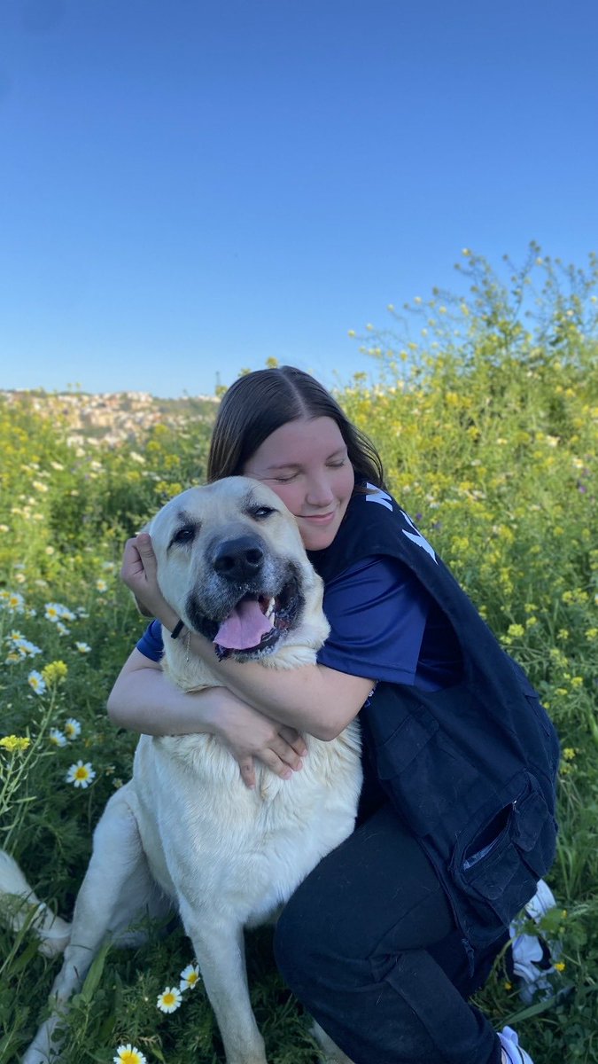 Protectora de Málaga (@protemalaga) on Twitter photo Duque, 13/9/2019, tamaño grande
Duque llegó desde la perrera, tras posiblemente haber sido usado como perro guardián. A pesar de ello es un amor: pasea genial, es sociable, adora los mimos y es un grandullón muy manipulable e independiente.
📩:moduloc@protectoramalaga.com Duque, 13/9/2019, tamaño grande
Duque llegó desde la perrera, tras posiblemente haber sido usado como perro guardián. A pesar de ello es un amor: pasea genial, es sociable, adora los mimos y es un grandullón muy manipulable e independiente.
📩:moduloc@protectoramalaga.com