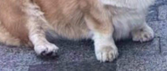 <a href="/hamulator/">ham 🫡</a> Тяжко конкурувати з цим