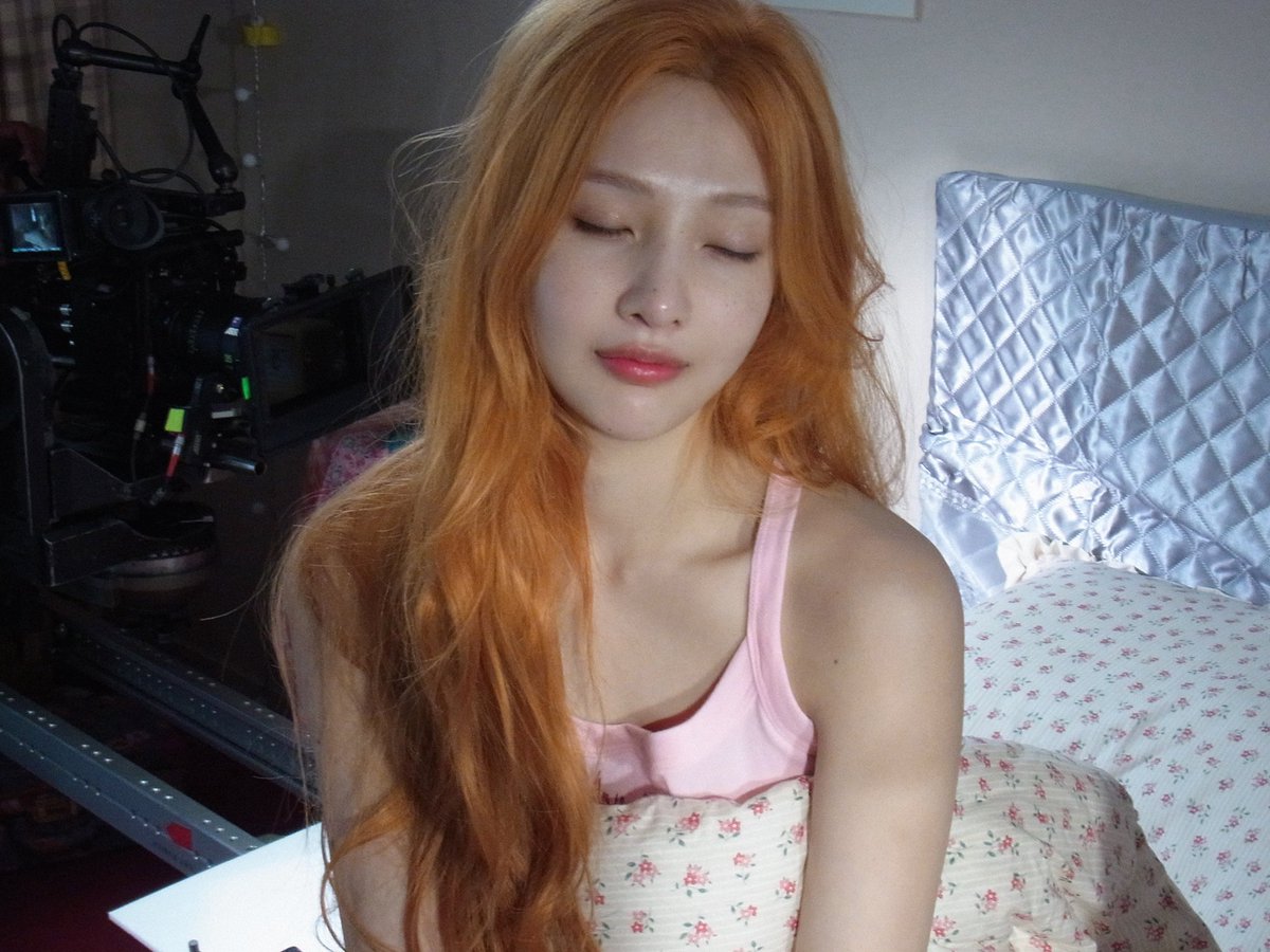 포실포실 tweet media