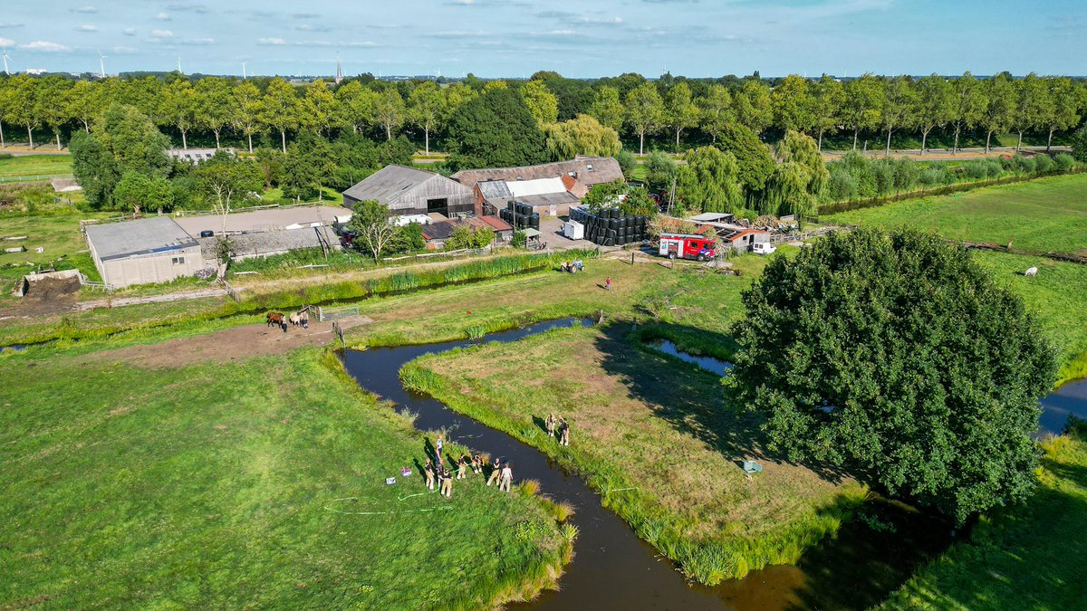 Brandweer haalt paard uit de sloot