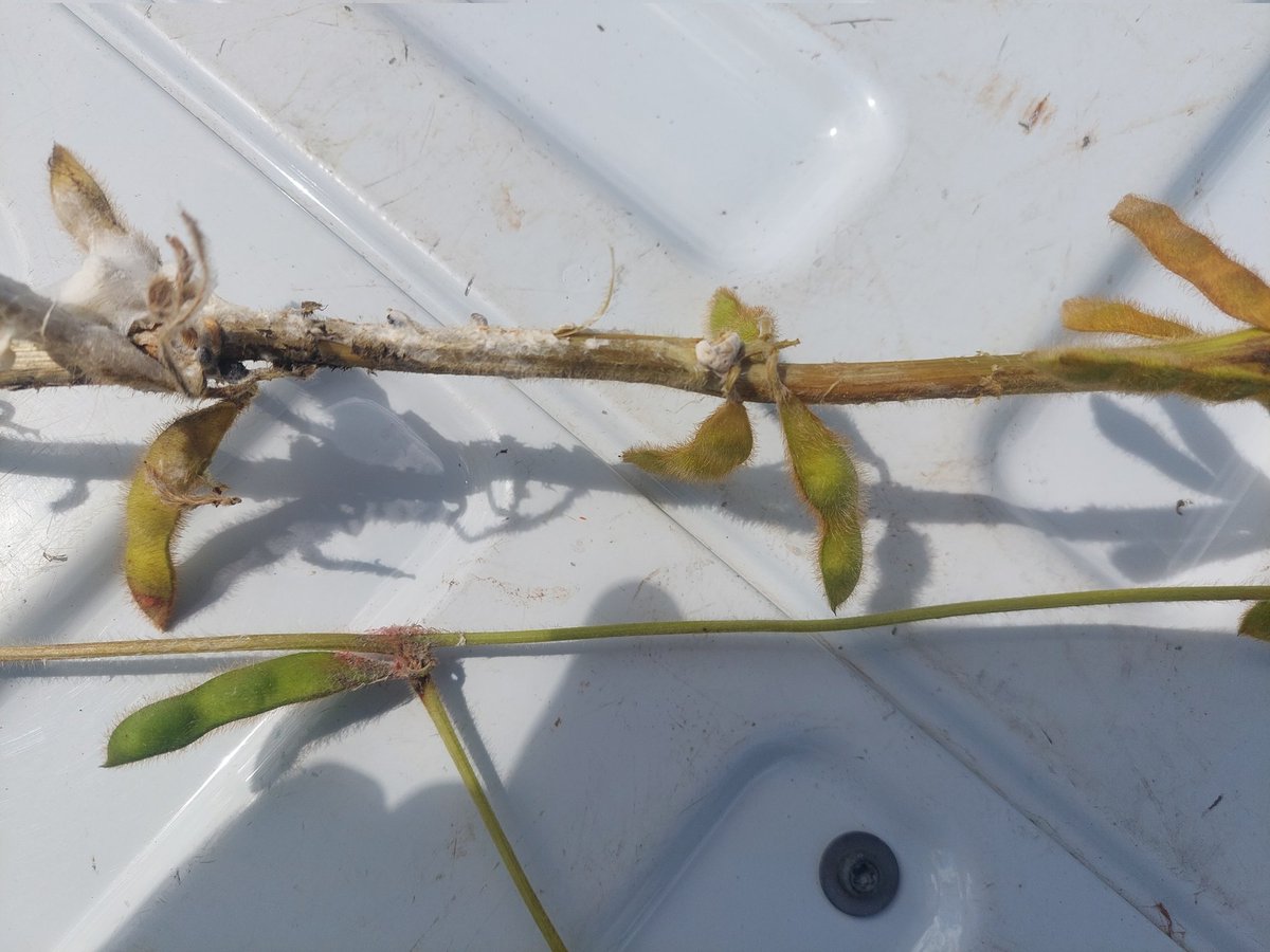 heather miller tweet media