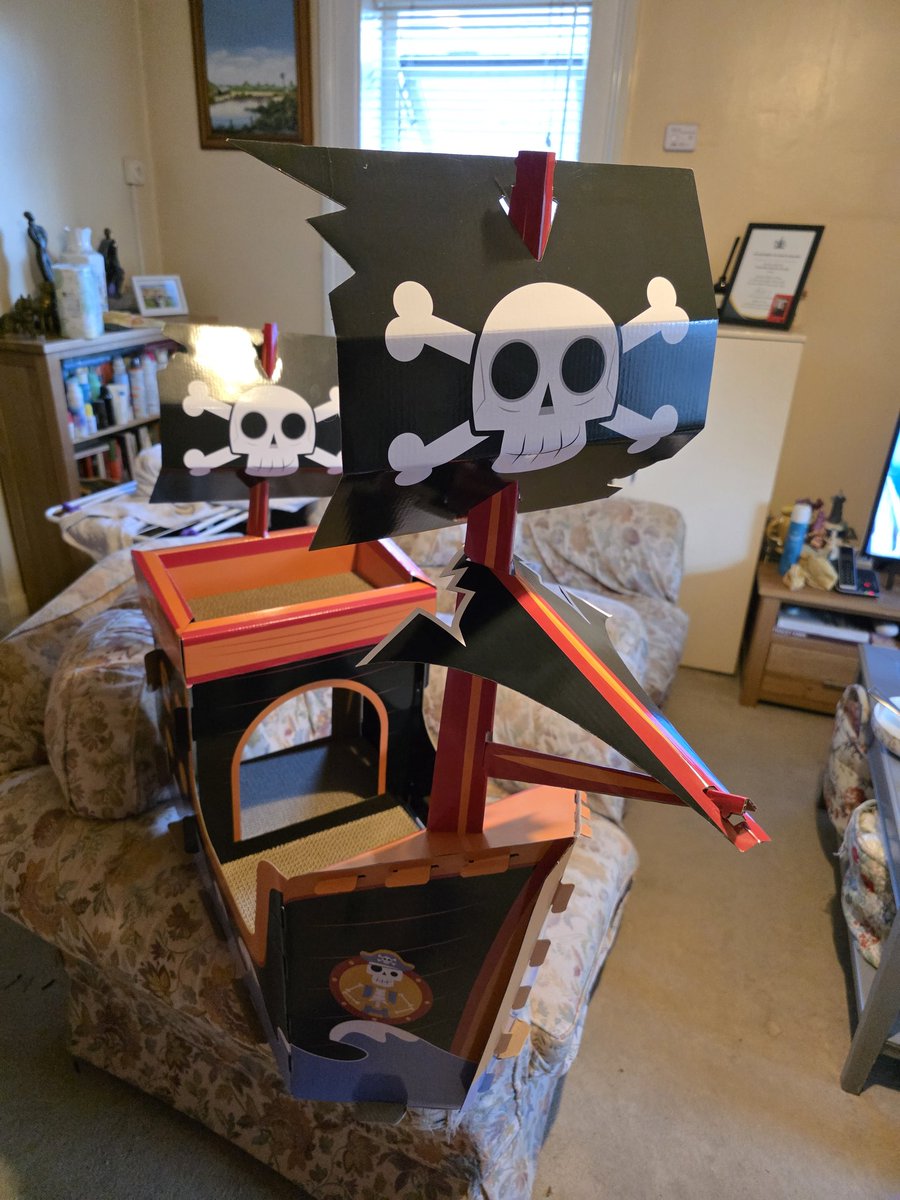 ThomasFTurrell's tweet photo. Spent my bank holiday evening building a pirate ship for the cats. Only for Phryne to decided she much prefers the box it came in. https://t.co/q3fFtA6mTG
