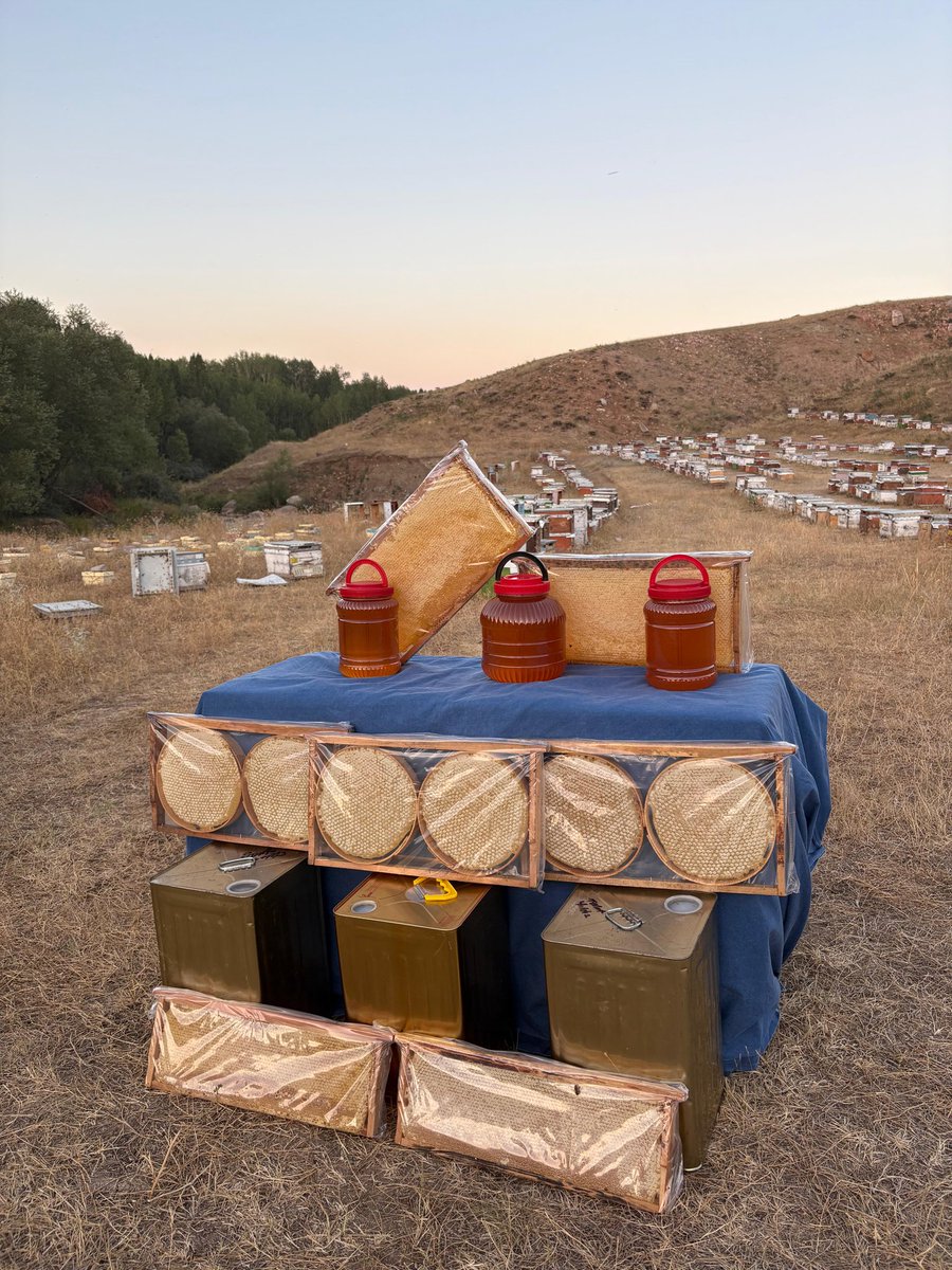 2025 Sezonu bal hasatımız bitmek üzere olup bal satışlarımız başlamıştır. Tüm arı ürünleri alımı için iletişime geçebilirsiniz.
05327161618