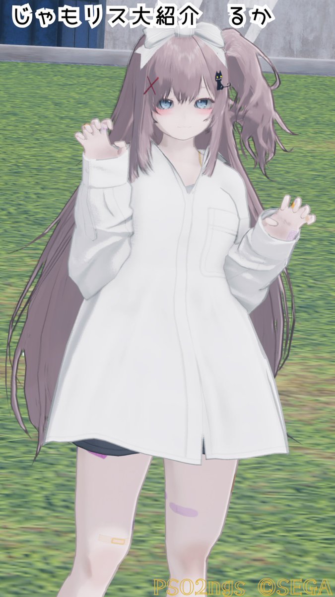 Vsyacyo1203's tweet image. みなさんおはようございます！
本日も僕が大好きなじゃもリスを紹介します！

よかったら仲間と一緒にSSやクエストしませんか？？

そして、本日のじゃもリスはこちらの方！
#PSO2NGS_SS #メンテの日じゃないけどssを貼る
#PSO2_NGS #Vtuber