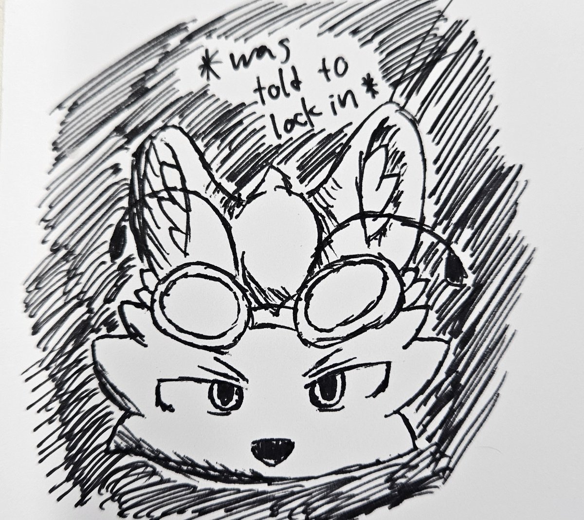 Cody the Bee Pup (@floofybeedog) on Twitter photo 