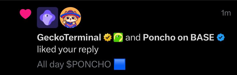 I’m pretty sure that <a href="/GeckoTerminal/">GeckoTerminal</a> has its poncho on! 🟦💙