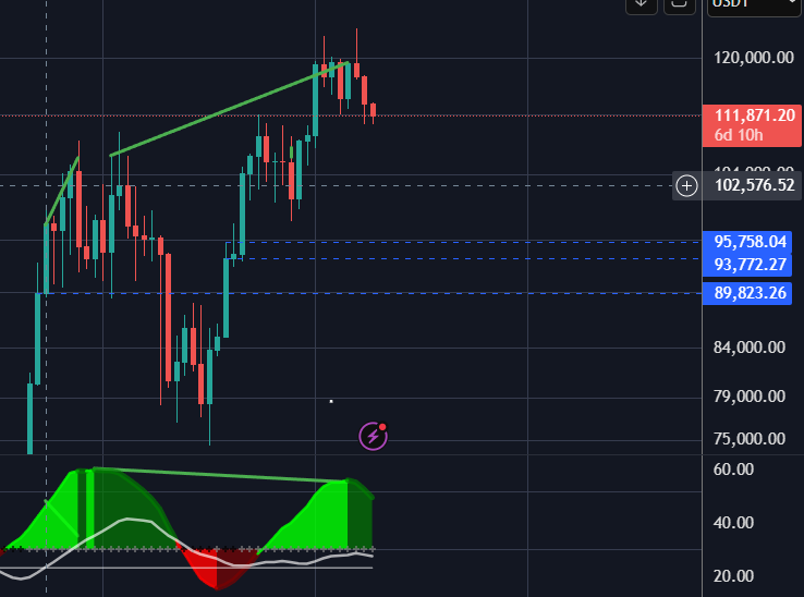 BTC on the weekly gave me exit from the market with that bearish divergence