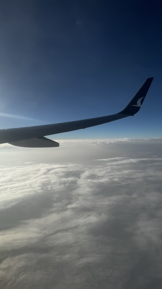 mem_4ll's tweet photo. summer✈️💙🌊 https://t.co/nisITpKpUe