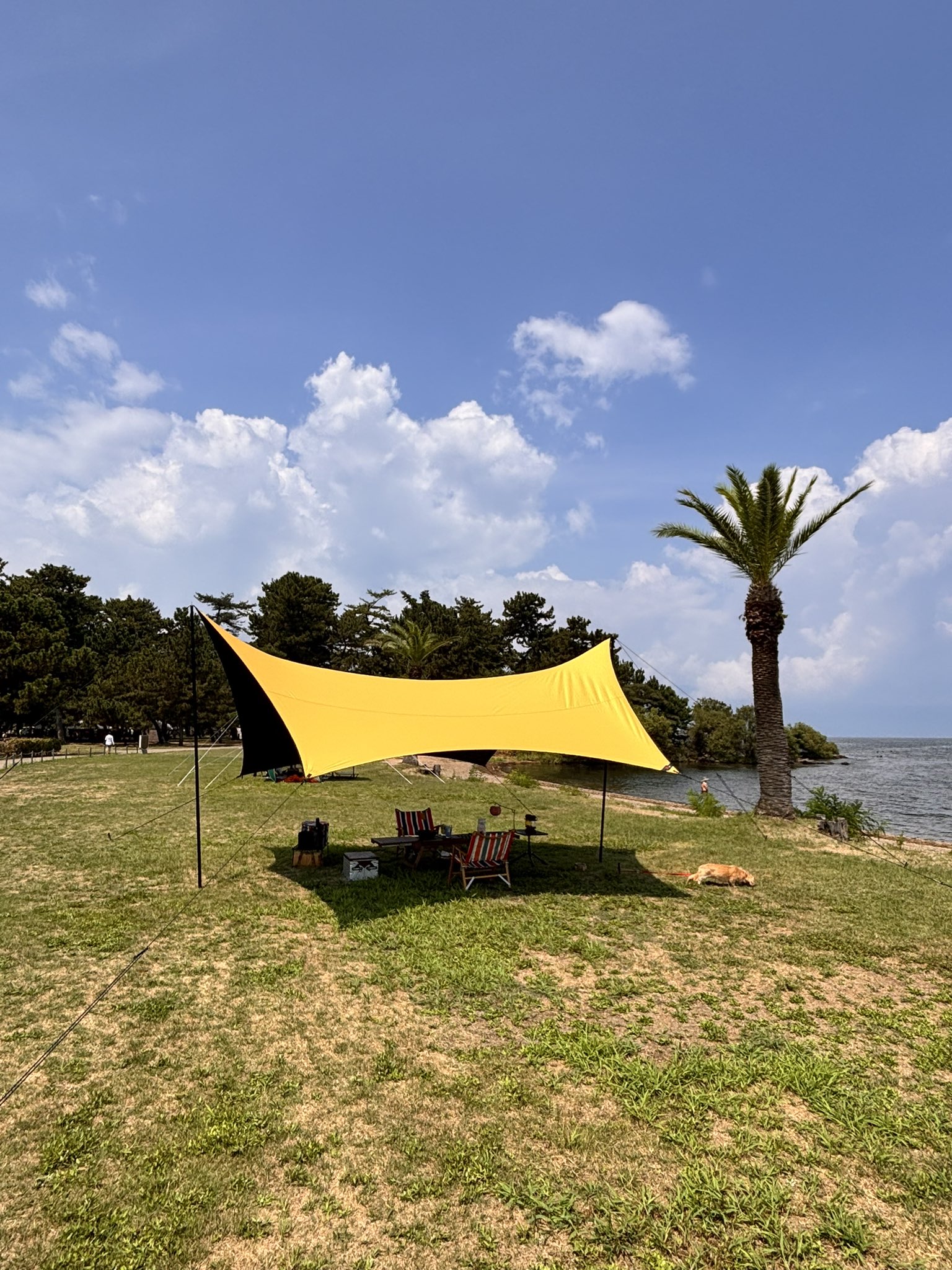 なっちゃんページ なっちゃん on X