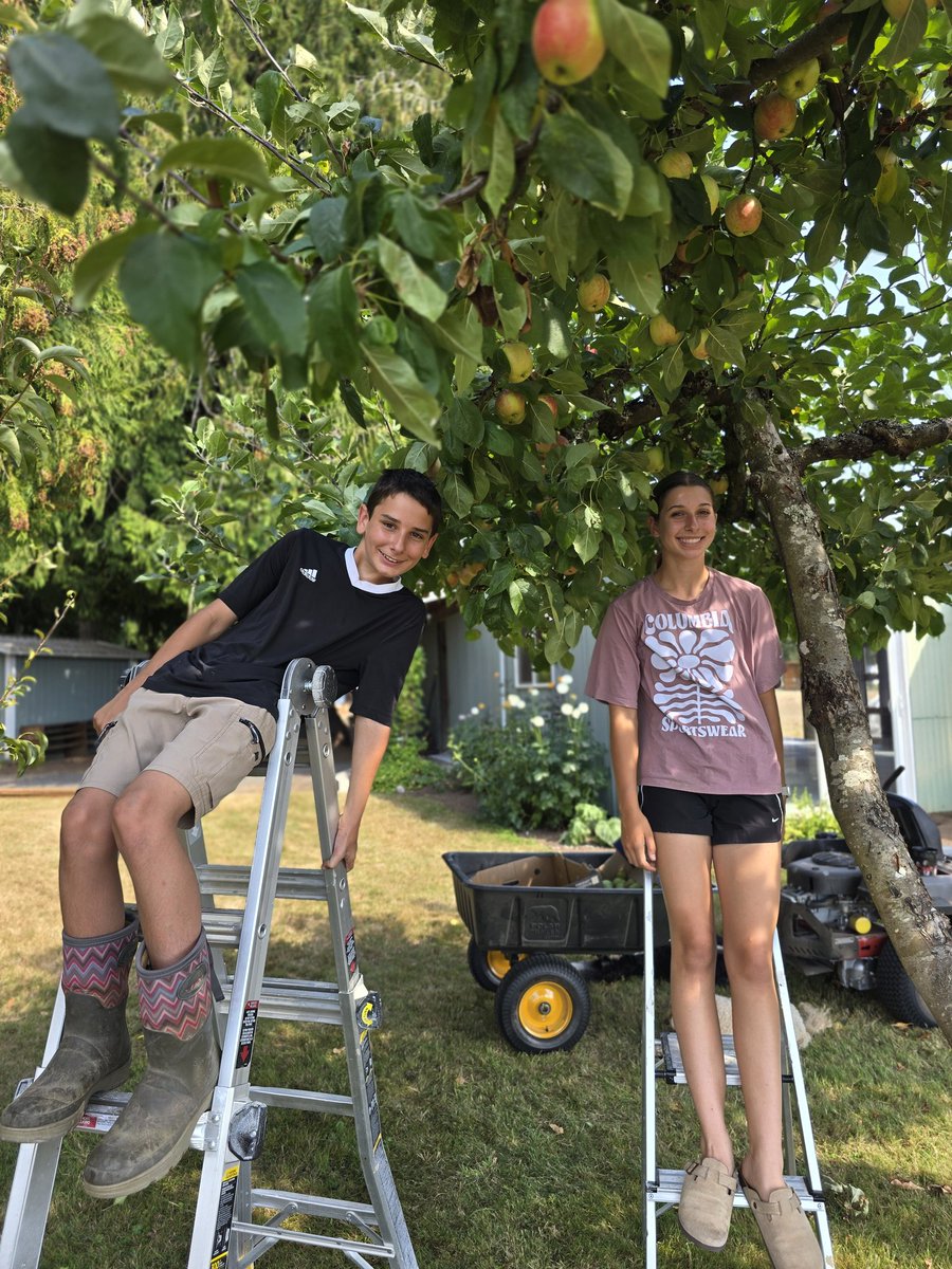 Sunday fruit picking!