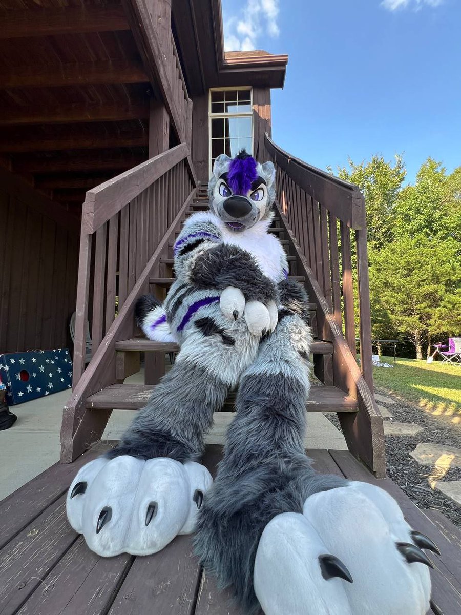 Shane🏳️‍⚧️ tweet media