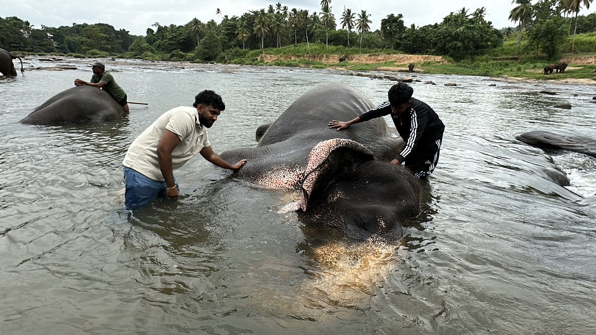 sha256n's tweet image. Some pictures from my trip to Sri Lanka