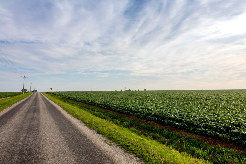 Dallas County rang the bell this week with some transitional land selling at $25,100/acre, $24,100/acre, &amp; $22,700/acre. Auction season is here - over the next 30 days there are over 15,000 acres on deck to be auctioned. bit.ly/4fUHVyT #IowaLandAuctionPrices