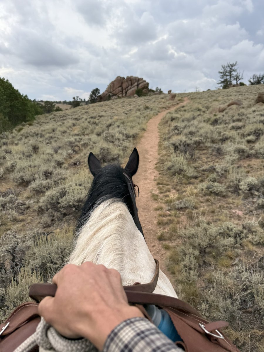 Day 233. Do the hard thing. Demand better Representation.