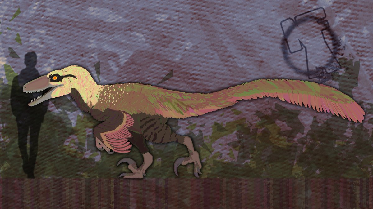 “They said Dakotaraptor was an invalid genus. The civilians of upstate NY may have something to say about that.”